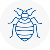Bed Bug Extermination In Daresbury
